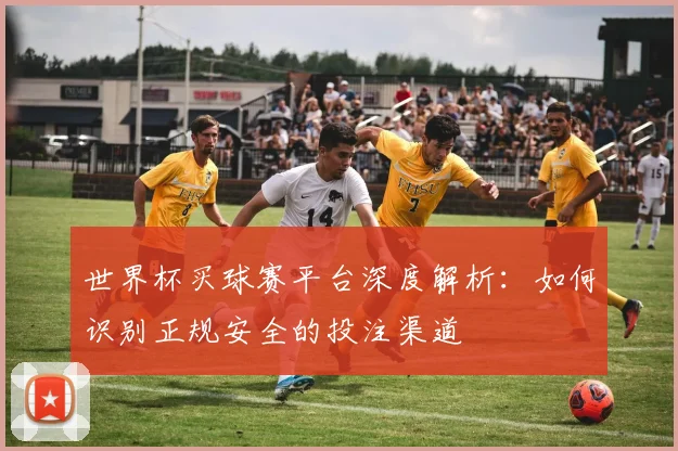 世界杯买球赛平台深度解析：如何识别正规安全的投注渠道