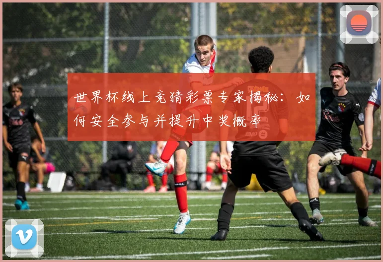 世界杯线上竞猜彩票专家揭秘：如何安全参与并提升中奖概率