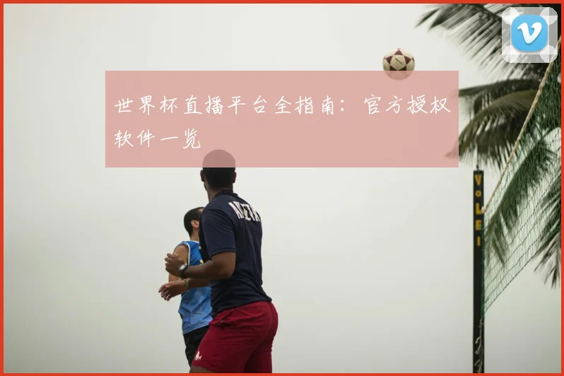 世界杯直播平台全指南：官方授权软件一览