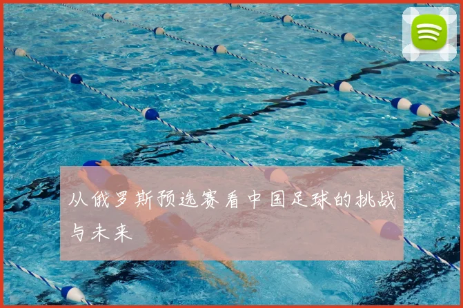 从俄罗斯预选赛看中国足球的挑战与未来