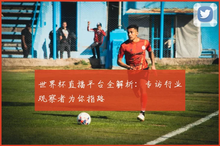 世界杯直播平台全解析:专访行业观察者为你指路