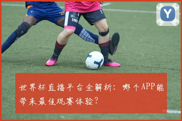 世界杯直播平台全解析：哪个APP能带来最佳观赛体验？