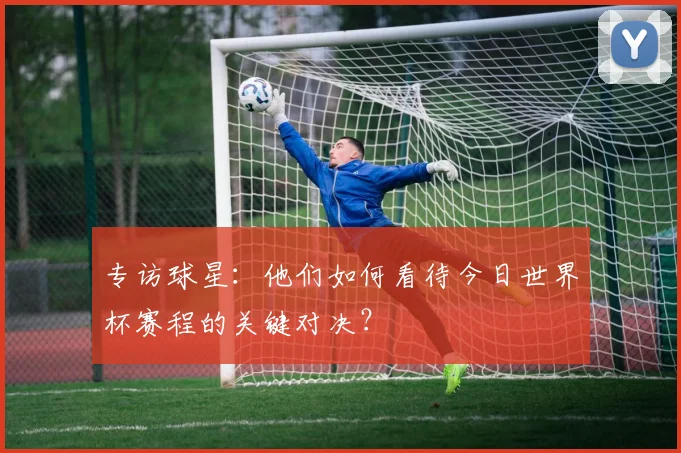 专访球星:他们如何看待今日世界杯赛程的关键对决?