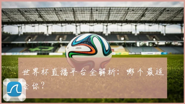 世界杯直播平台全解析：哪个最适合你？