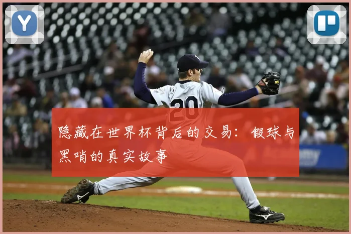 隐藏在世界杯背后的交易：假球与黑哨的真实故事