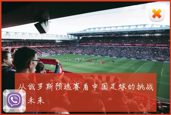 从俄罗斯预选赛看中国足球的挑战与未来