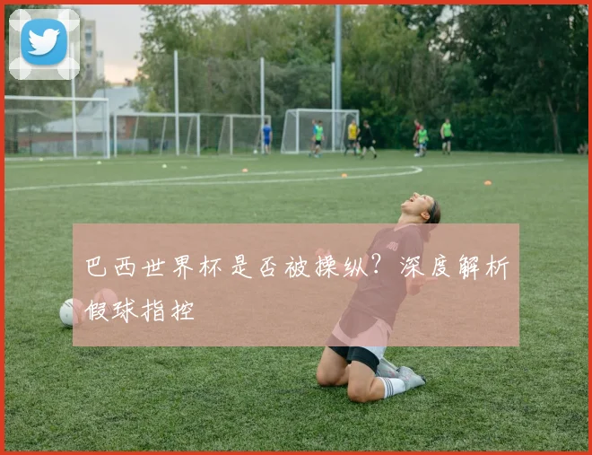 巴西世界杯是否被操纵？深度解析假球指控